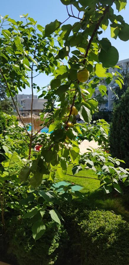Apartment With Green Terrace Burgaz Dış mekan fotoğraf